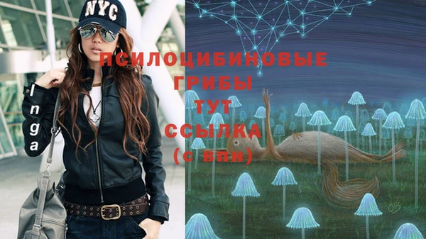 марки lsd Богородицк