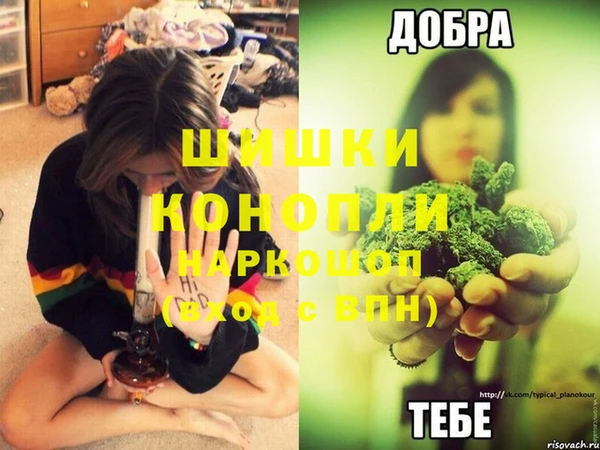 бошки Богородск