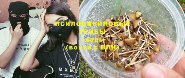 бутират Бородино