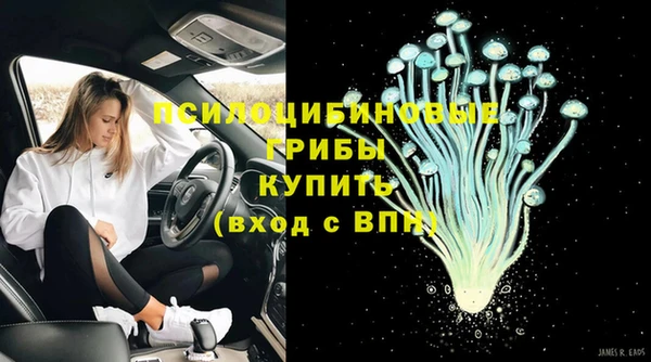 ешки Болохово